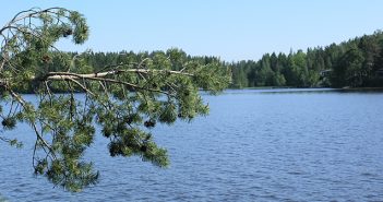 Keski-Suomen luontokirkko 25.7.