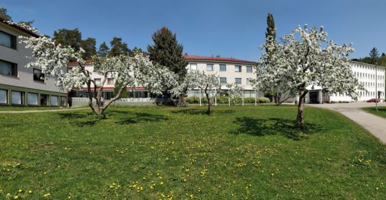 KOULUTOIMEN UUTISKIRJE 1/2021